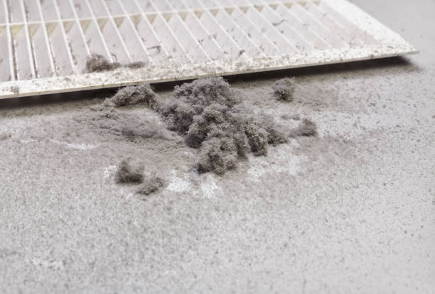 Best HVAC Duct Inspection Services  in Post Falls, ID