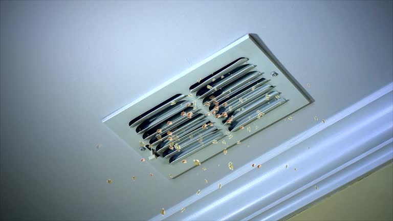 Best Air Duct Cleaning Company Near Me  in Post Falls, ID